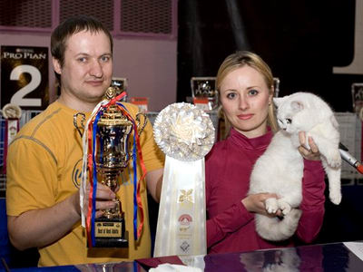 Выставка кошек во Владивостоке 1 марта 2009 года