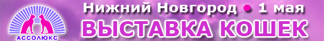 Выставка кошек в Нижнем Новгороде 2 мая 2009 года
